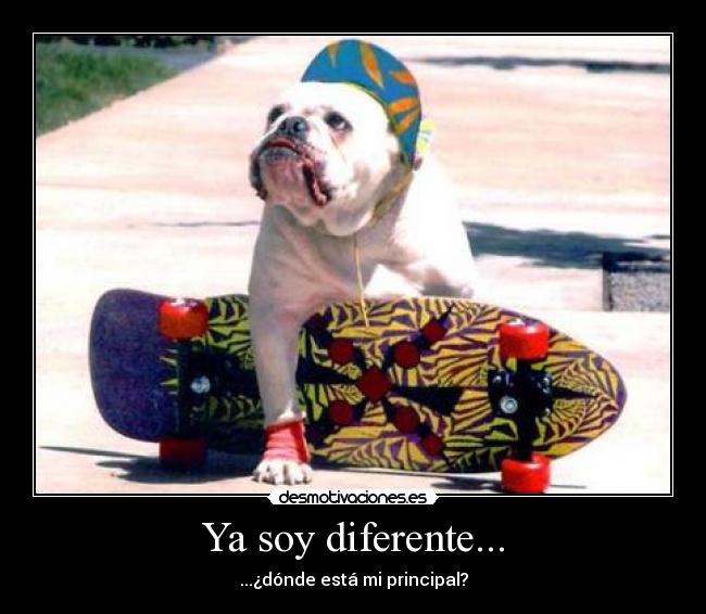 Ya soy diferente... - ...¿dónde está mi principal?