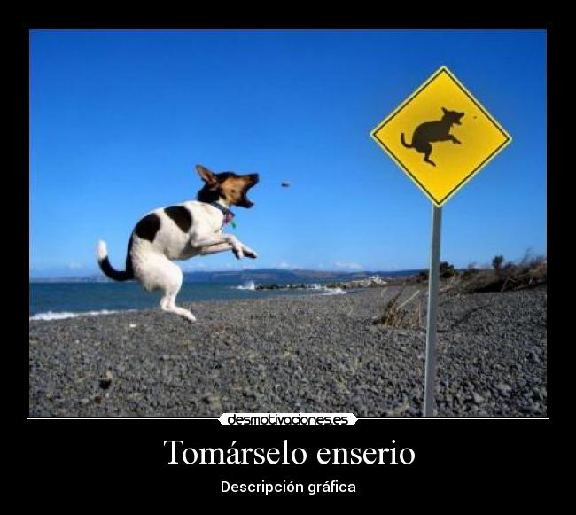 Tomárselo enserio - Descripción gráfica