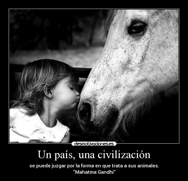 Un país, una civilización - se puede juzgar por la forma en que trata a sus animales.
Mahatma Gandhi