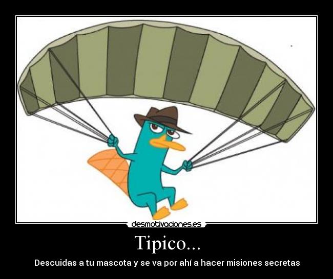 Tipico... -