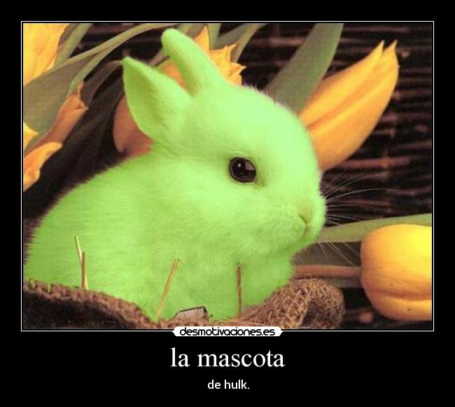 la mascota - de hulk.