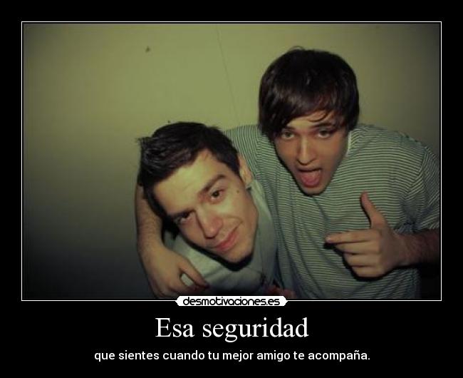 carteles seguridad mejor amigo desmotivaciones