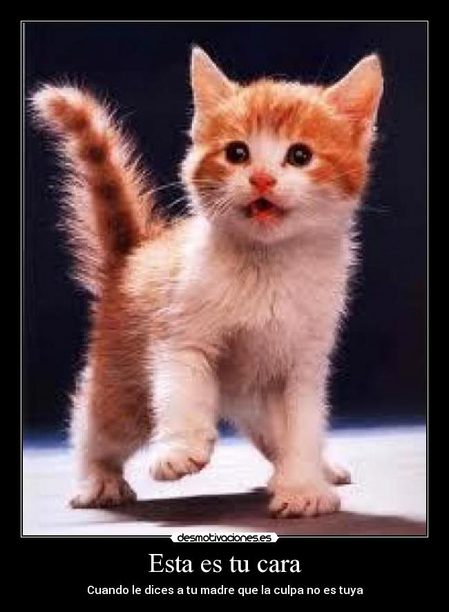 Esta es tu cara - Cuando le dices a tu madre que la culpa no es tuya