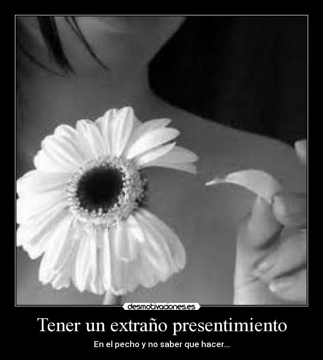 Tener un extraño presentimiento - En el pecho y no saber que hacer...