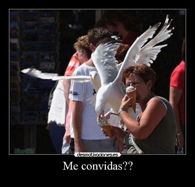 Me convidas?? - 