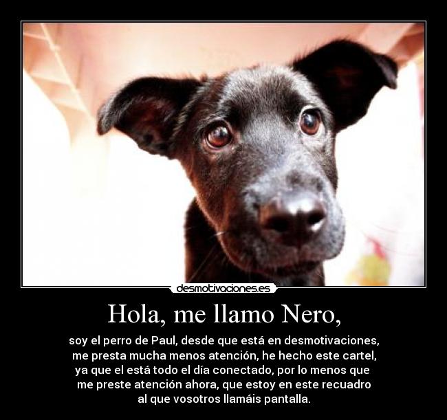 carteles soy nero voy hacer etiquetas-salgo bien foto-no-me hecho paul muy bonita desmotivaciones