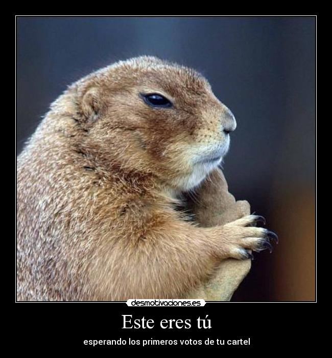 Este eres tú - esperando los primeros votos de tu cartel