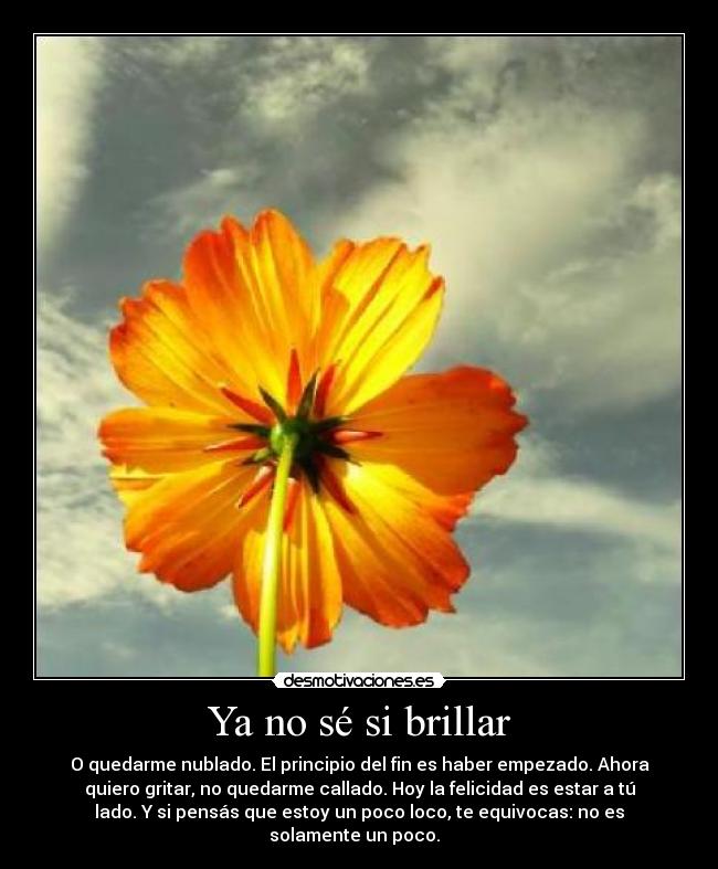 Ya no sé si brillar - 