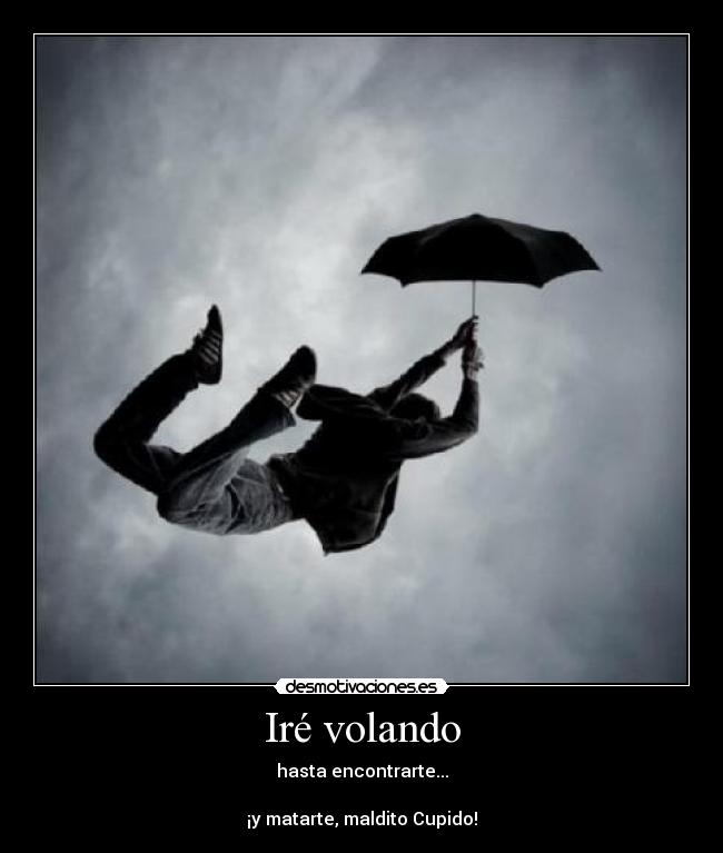 Iré volando -