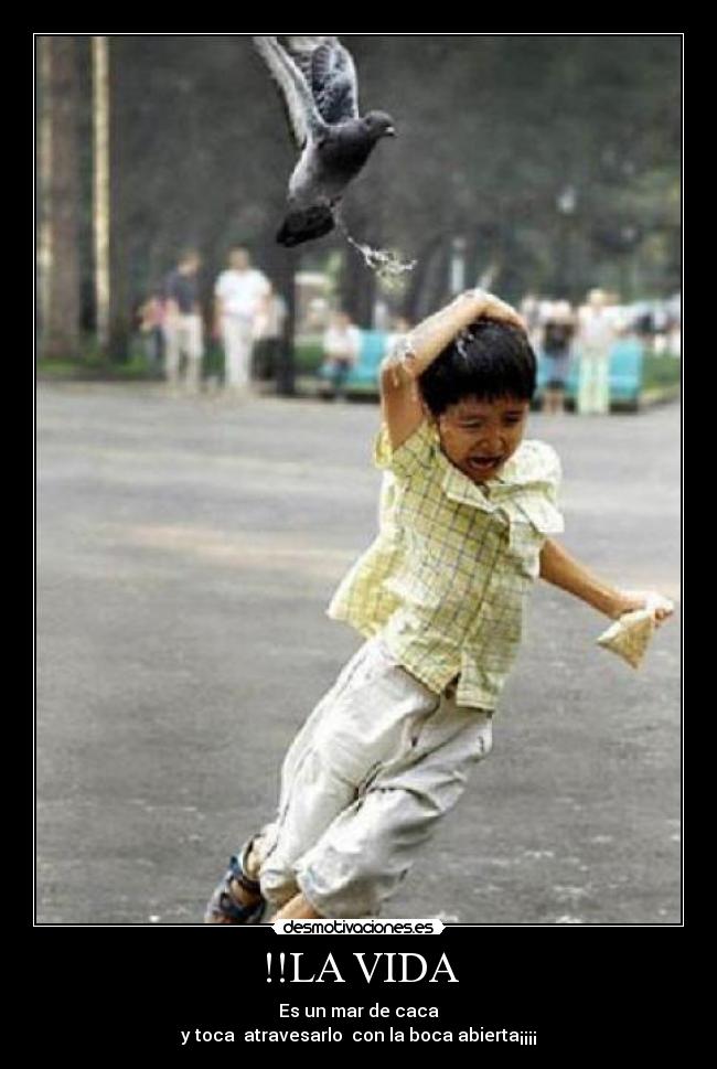 !!LA VIDA -