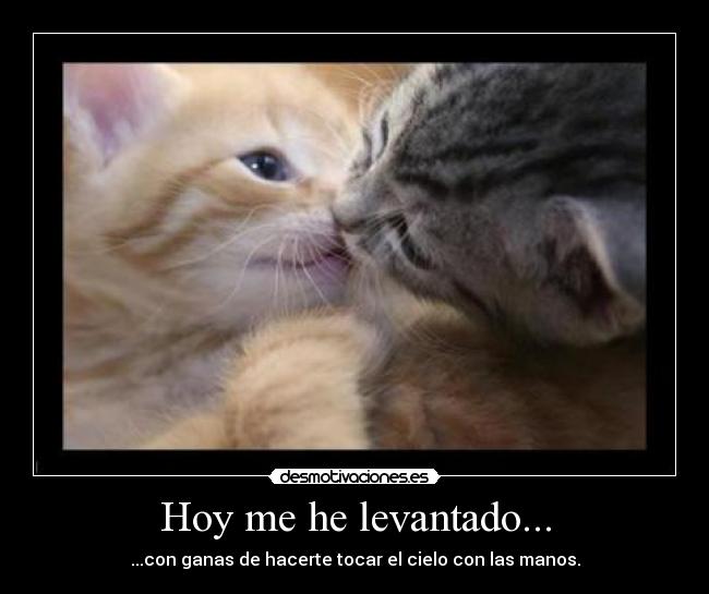 Hoy me he levantado... -