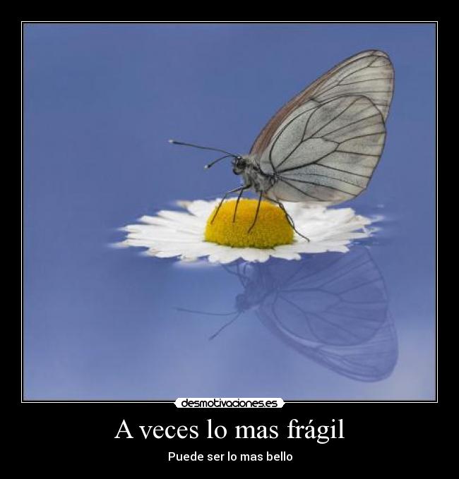 A veces lo mas frágil -