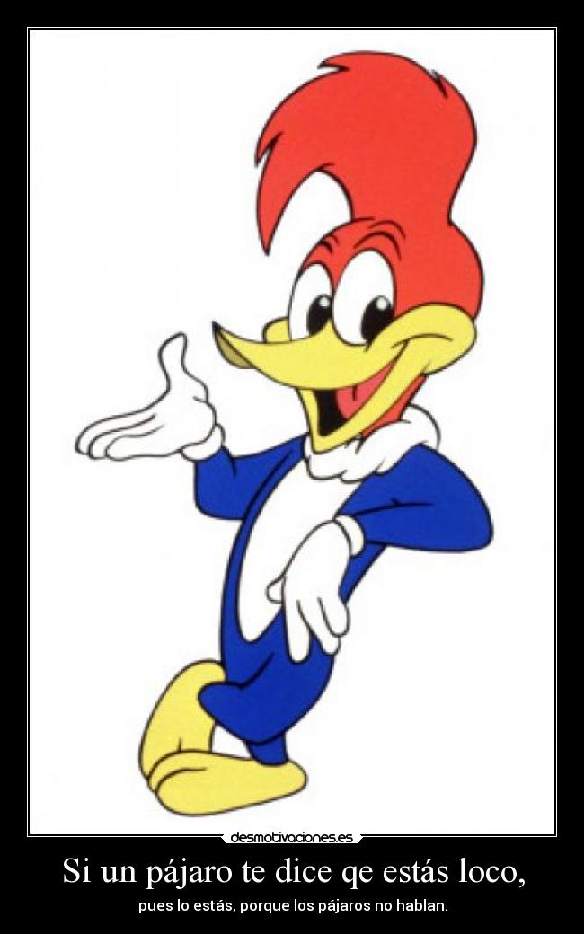 Si un pájaro te dice qe estás loco, - 