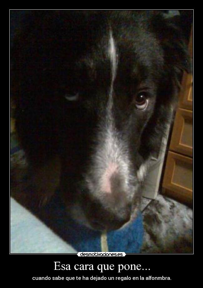 Esa cara que pone... -