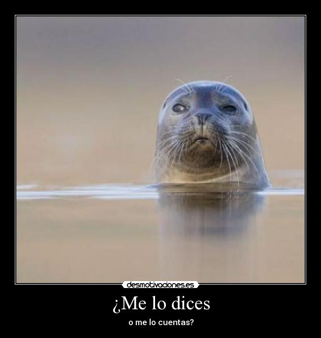 ¿Me lo dices - o me lo cuentas?