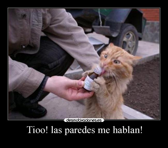 Tioo! las paredes me hablan! - 