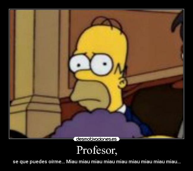 Profesor, - 