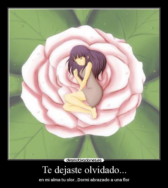 Te dejaste olvidado... -