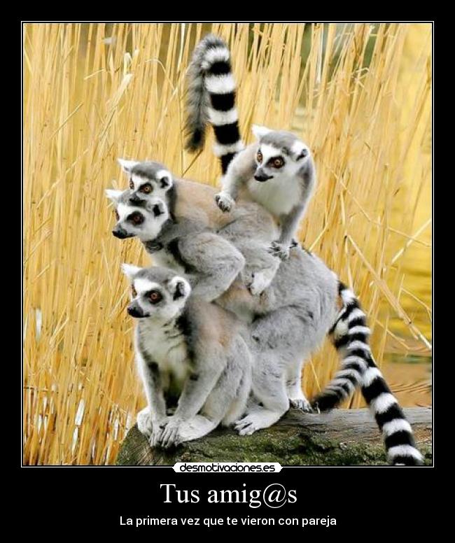 Tus amig@s - La primera vez que te vieron con pareja