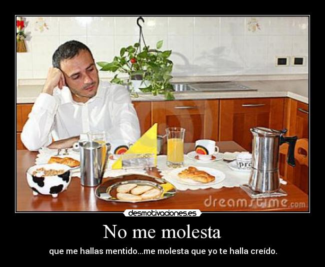 No me molesta - que me hallas mentido...me molesta que yo te halla creído.