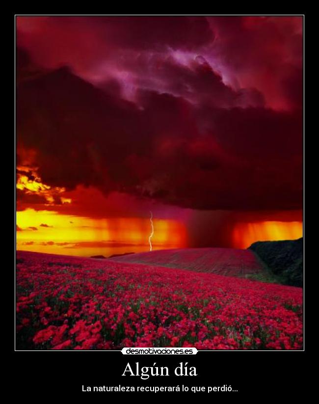 Algún día - La naturaleza recuperará lo que perdió...