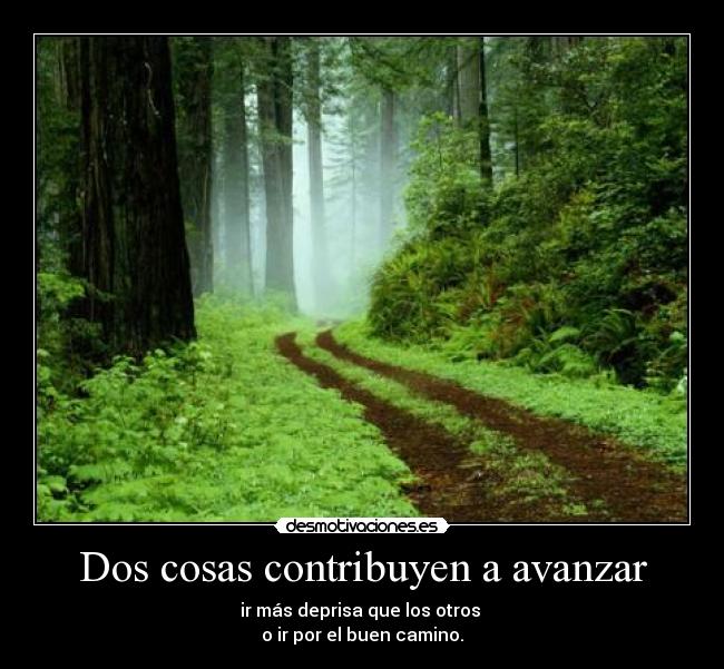 Dos cosas contribuyen a avanzar - ir más deprisa que los otros 
o ir por el buen camino.