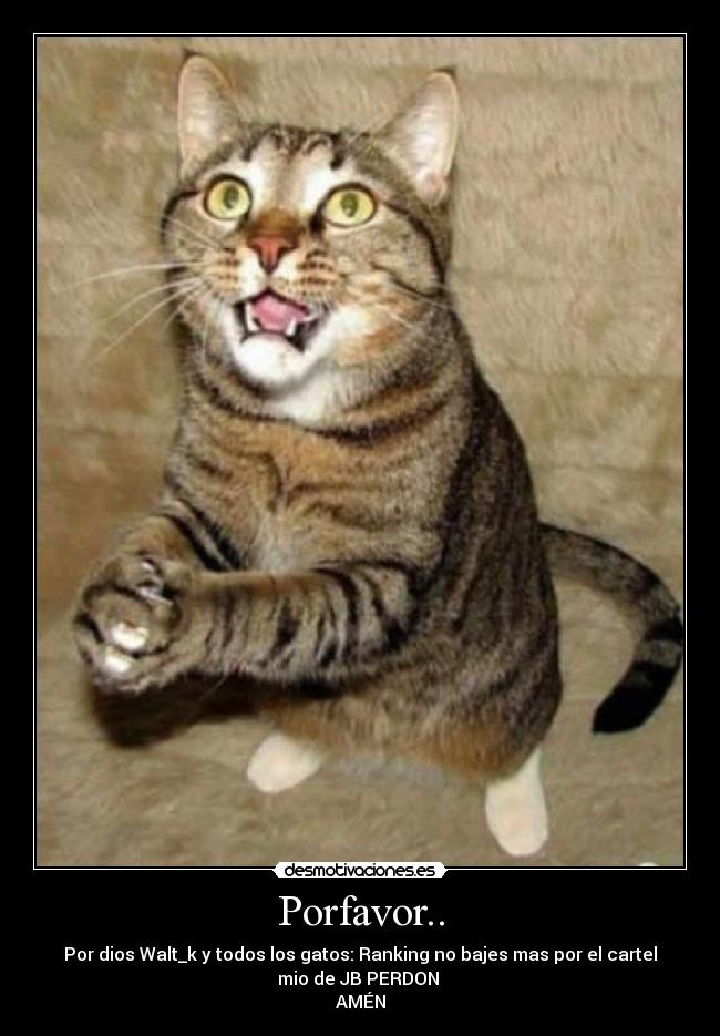 Porfavor.. - Por dios Walt_k y todos los gatos: Ranking no bajes mas por el cartel
mio de JB PERDON 
AMÉN