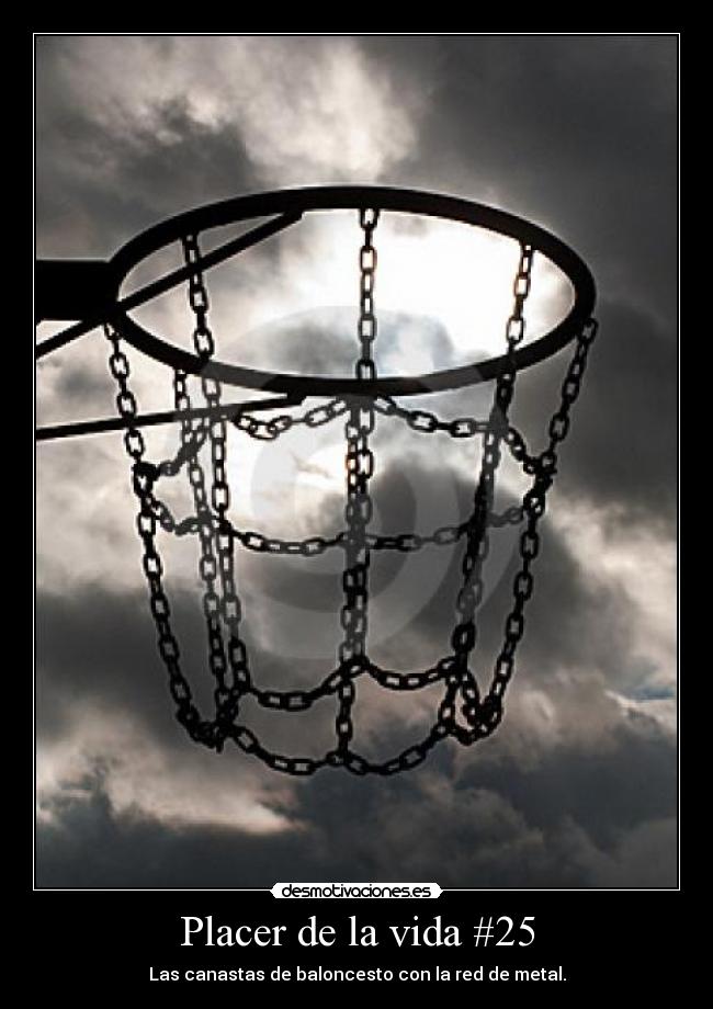 Placer de la vida #25 - 