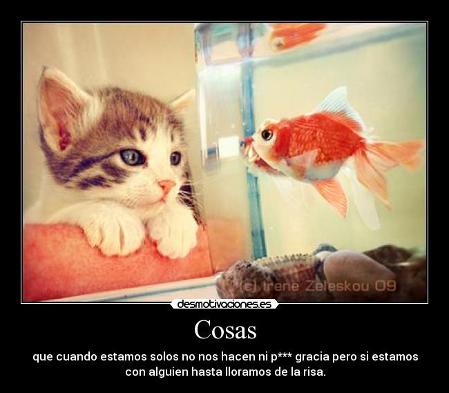 carteles cosas desmotivaciones