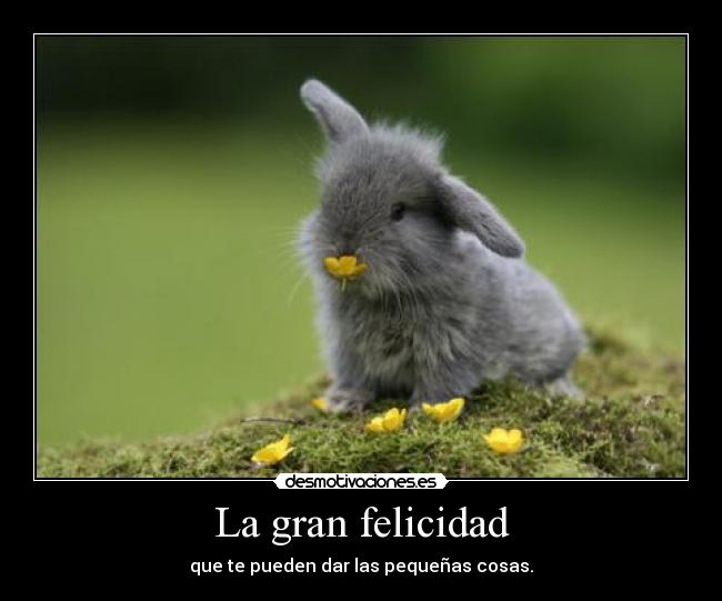 La gran felicidad - 