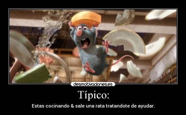 Típico: - Estas cocinando & sale una rata tratandote de ayudar.