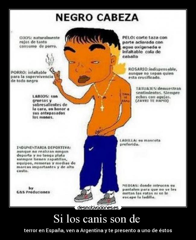 Si los canis son de -