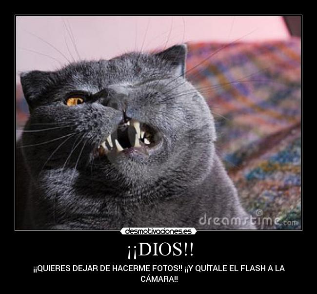 ¡¡DIOS!! - 