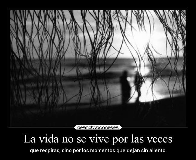  La vida no se vive por las veces  - que respiras, sino por los momentos que dejan sin aliento.
