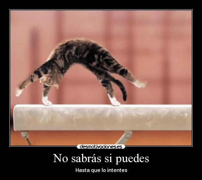 No sabrás si puedes - Hasta que lo intentes