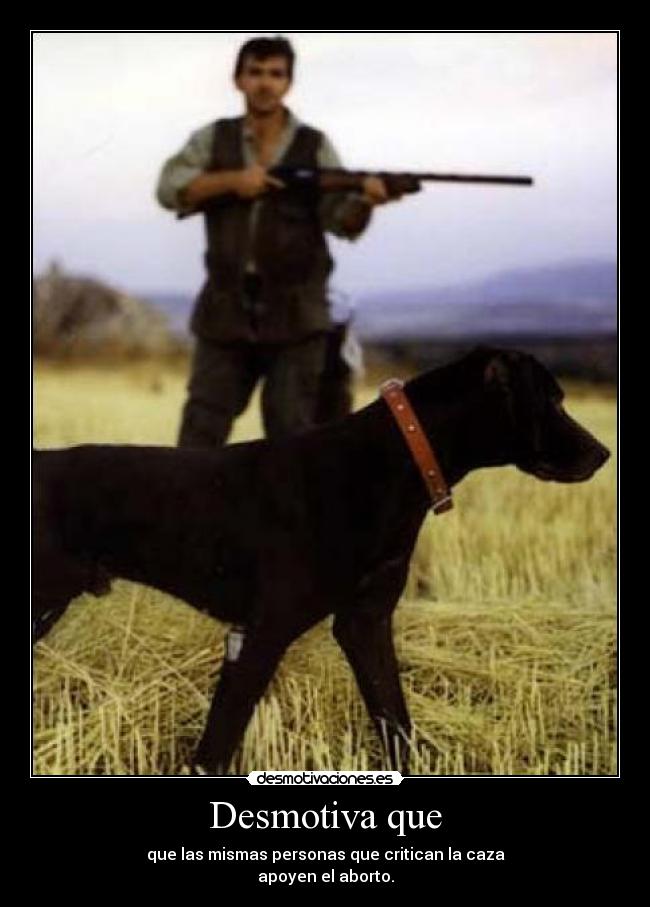 carteles caza desmotivaciones