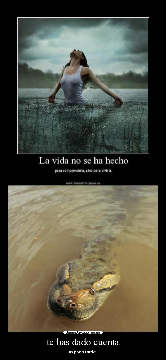 te has dado cuenta - un poco tarde...