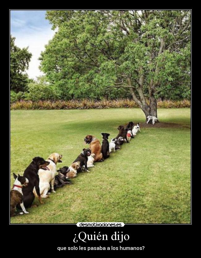 ¿Quién dijo - que solo les pasaba a los humanos?
