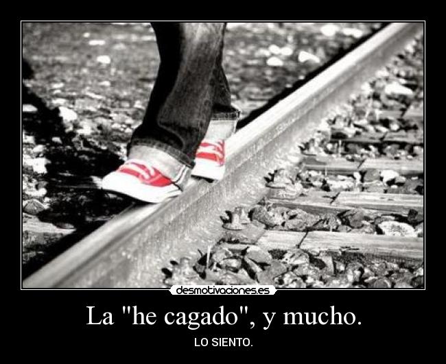 La he cagado, y mucho. -