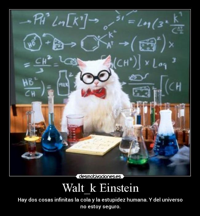 Walt_k Einstein - Hay dos cosas infinitas la cola y la estupidez humana. Y del universo no estoy seguro.