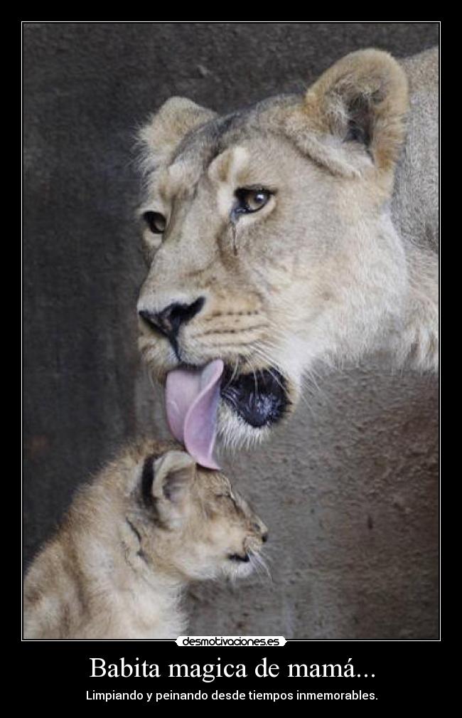 Babita magica de mamá... -