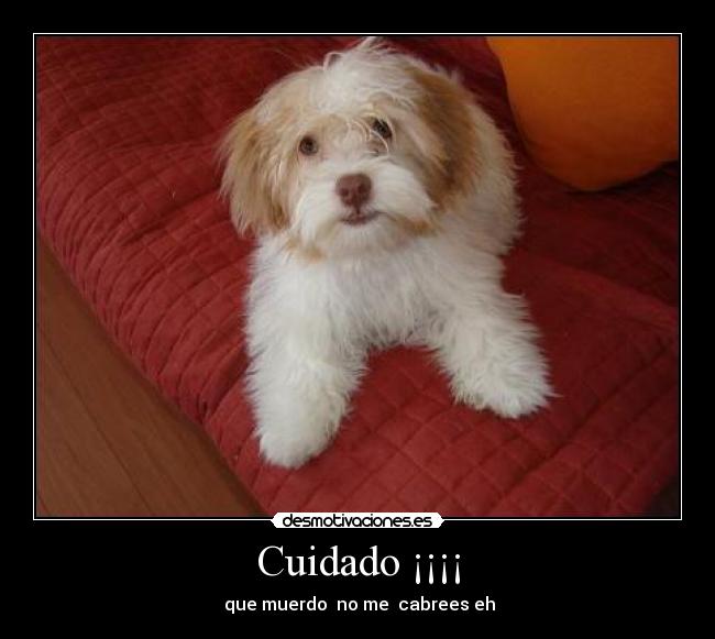 Cuidado ¡¡¡¡ - que muerdo no me cabrees eh