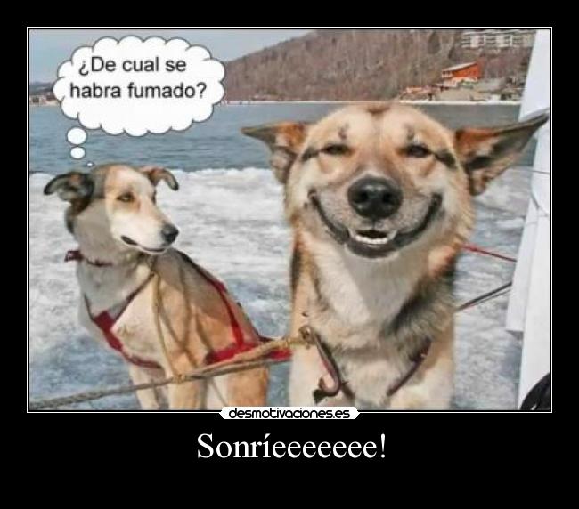 Sonríeeeeeee! - 