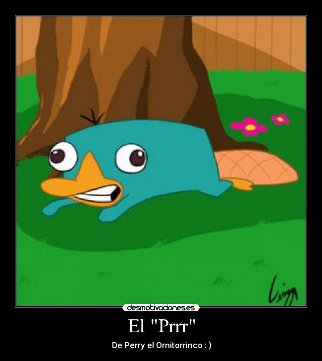 El Prrr - De Perry el Ornitorrinco : )