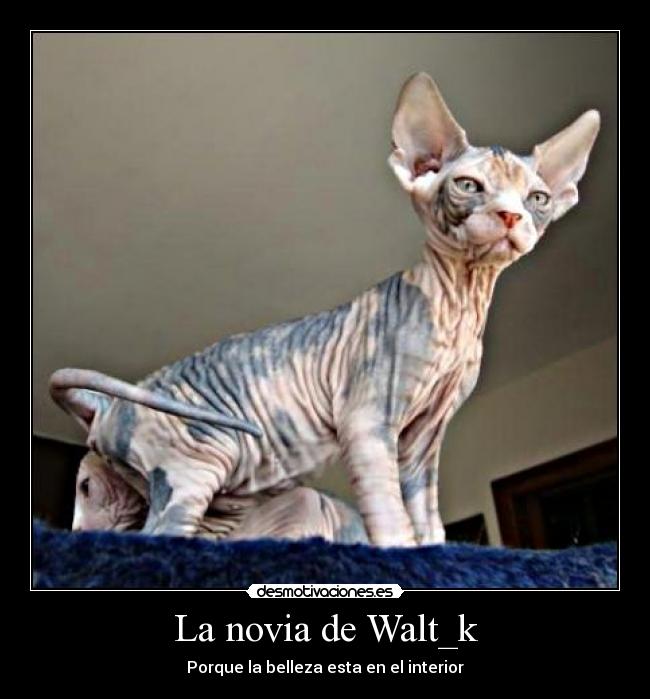 La novia de Walt_k -