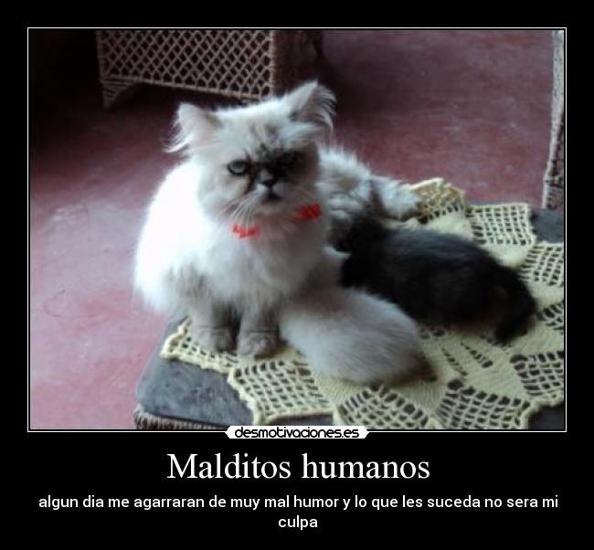 Malditos humanos -