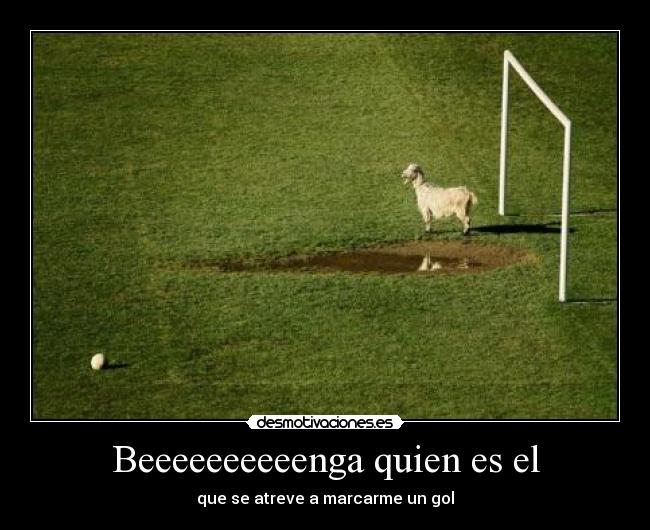 carteles pejota desmotivaciones