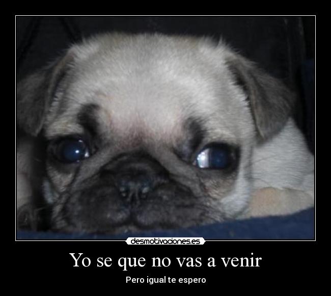 Yo se que no vas a venir - 