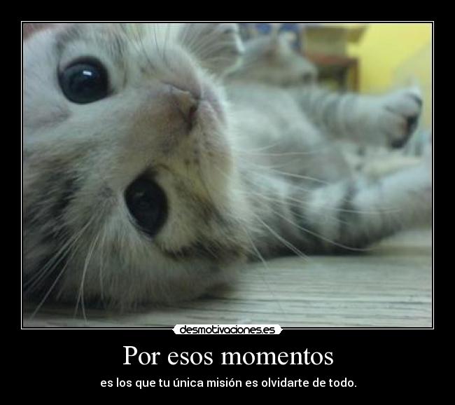 Por esos momentos - 