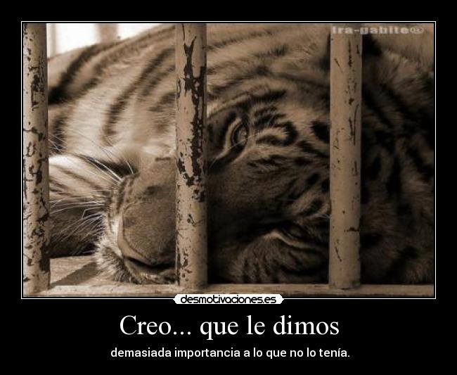 Creo... que le dimos - demasiada importancia a lo que no lo tenía.